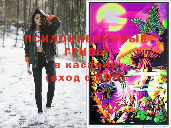 PSILOCYBIN Аркадак