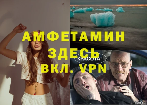 PSILOCYBIN Аркадак
