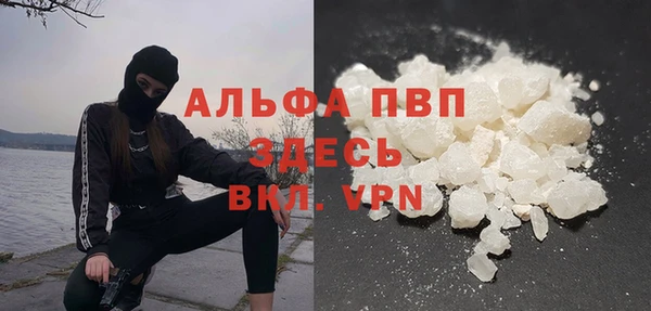 PSILOCYBIN Аркадак
